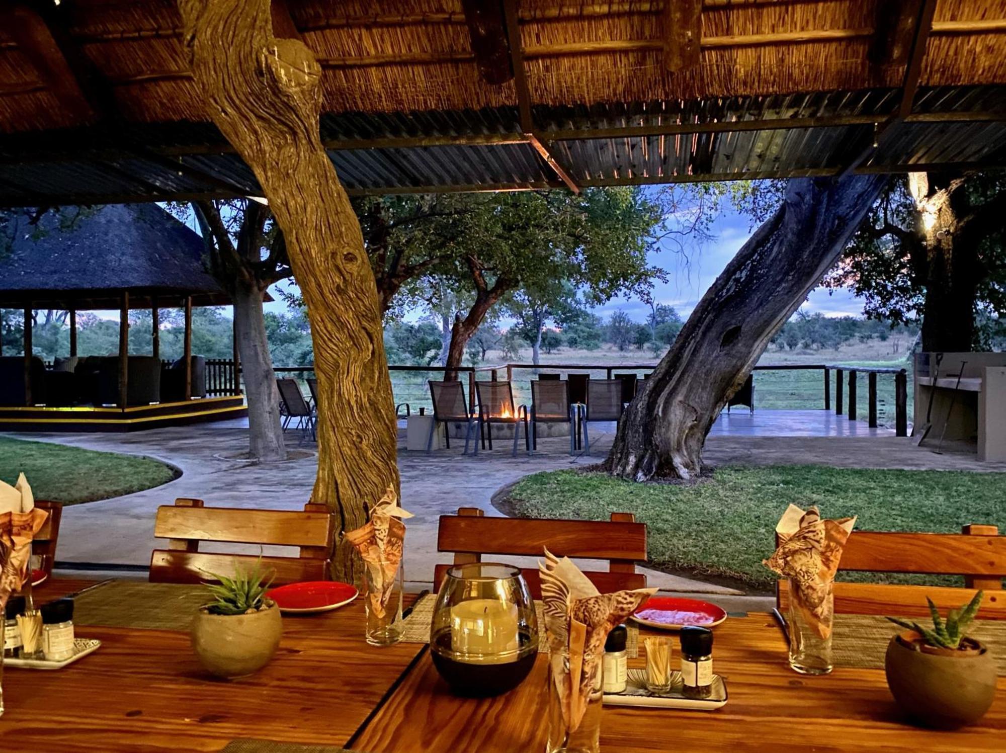 Senalala Safari Lodge محمية كلاسيري الطبيعية الخاصة المظهر الخارجي الصورة